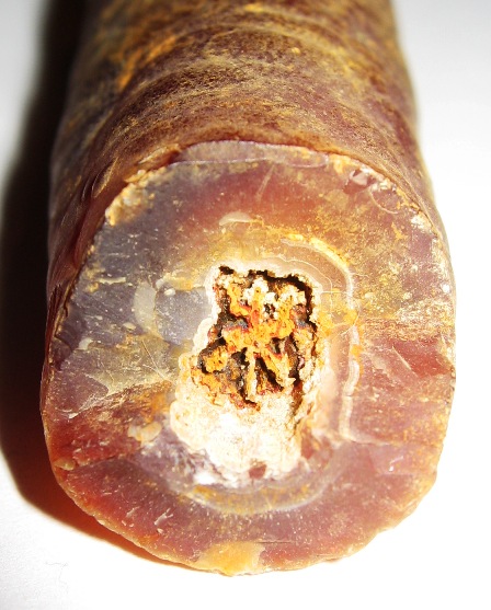 Finger Agate Cross Section