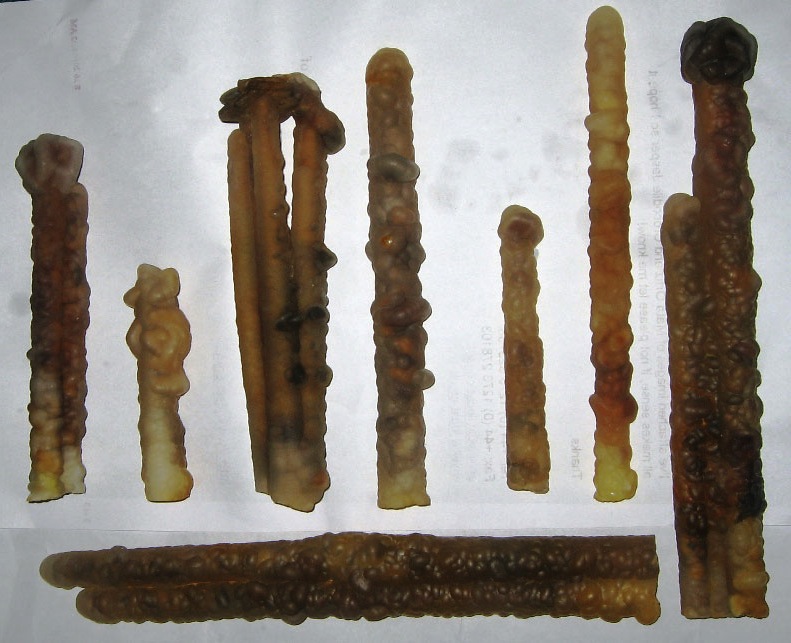 Agate Fingers encrusted with Carbonate Pseudomorphs